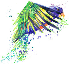 Watercolor parrot bird illustration. © Елена Фаенкова