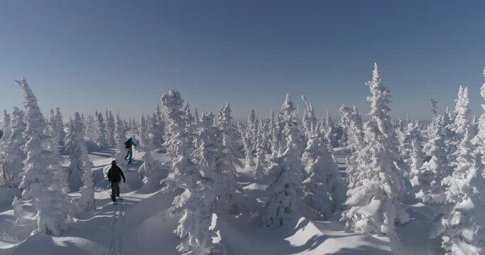 Epic shot. Group Of Skiers Skiing Cross Country. Ski touring and splitboarding concept. 4k RAW footage
