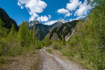 Naklejka premium mountain road in the mountains