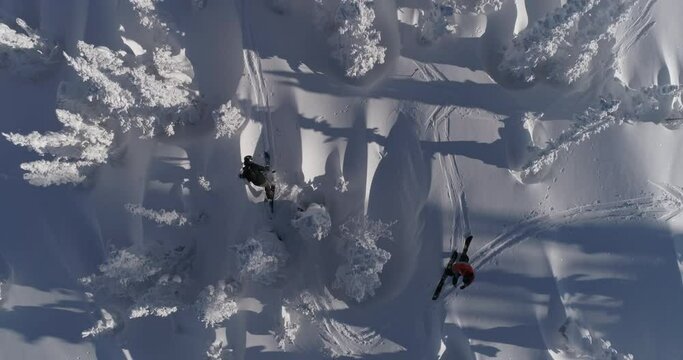 Aerial Top view of Skiers. Ski touring and splitboarding concept. Winter Day. Epic shot of ski man crossing the frame in frozen forest. 4k RAW footage