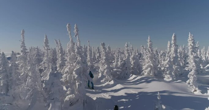 Epic shot. Group Of Skiers Skiing Cross Country. Ski touring and splitboarding concept. 4k RAW footage