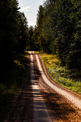 Obraz premium Torsby, Sweden A wooded country road and forest.