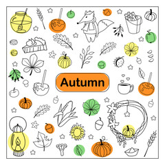 Autumn doodles. Hand drawn sketch set: acorns, pumpkin, pie, tea cup, hat, wreath, berries, apple, nuts, corn, fox, mushrooms, chestnut, leaves, flowers, etc. Isolated objects on a white background