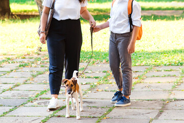 Obraz premium Stylish mother and son walking with their dog in the park. Little puppy jack russel terrier and kids outdoors.