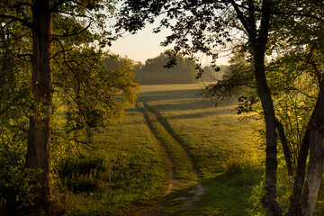 Obraz premium Frühherbst im Naturschutzgebiet Taubergiessen in der Ortenau in Deutschland