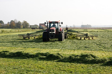 Maehen des Grases mit Traktor und Maehbalken.  Langen, Niedersachsen, Deutschland, Europa  -...