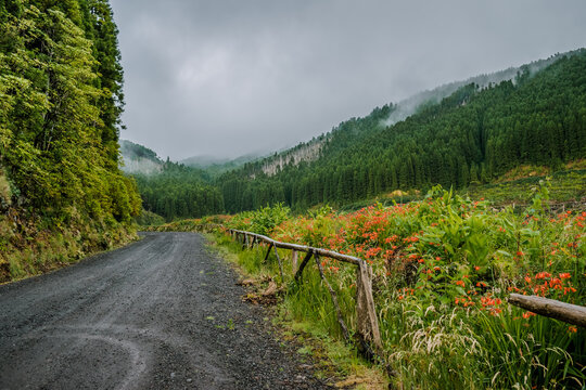 Verdant natural landscape with wooden fence and fog over the mountains at Pico da Vara, S&atilde;o Miguel - Azores PORTUGAL