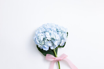 Fresh blue hydrangea flower on white background. top view, copy space