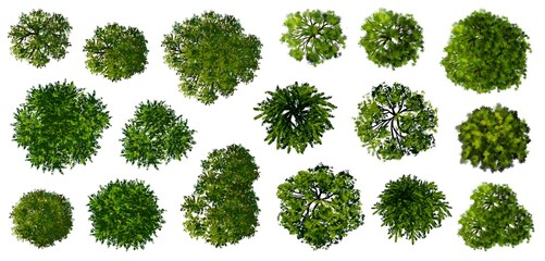 Set of watercolor Green tree top view for landscape plan and architecture layout drawing ,elements for environment or gardening 