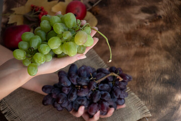 A bunch of green and lilac grapes in beautiful female hands. On a wooden background with autumn leaves. Fall.