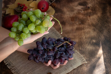 A bunch of green and lilac grapes in beautiful female hands. On a wooden background with autumn leaves. Fall.