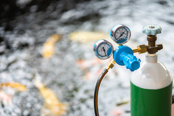 Equipment medical Oxygen tank and Cylinder Regulator gauge.Control pressure oxygen gas for care a patient respiratory disease and emergency CPR at Hospital.Close up focus on fish pond background.