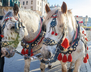 Naklejka na ściany i meble Horses with carriage on the Main Market Square in Krakow