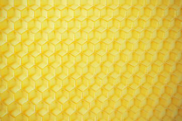 honeycomb made of wax close up. products of bees. Background