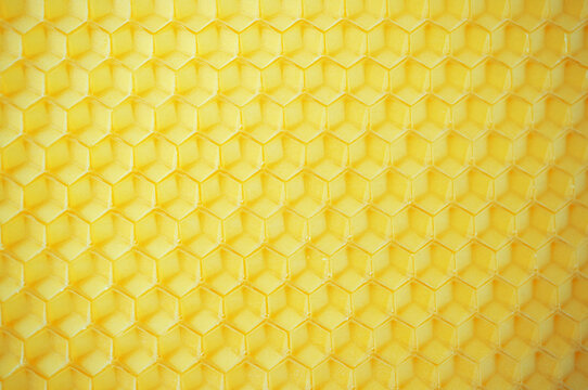 honeycomb made of wax close up. products of bees. Background