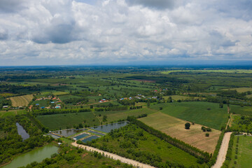 top view forest background, bird eye view green nature, big tree, green leaves 
