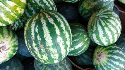 watermelons from above
