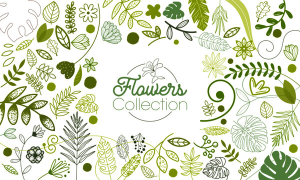 Flowers Collection - Illustration - Patterns
