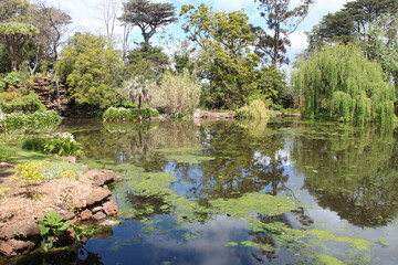 garden in melbourne (australia) 