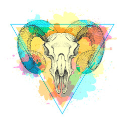 Hipster animal skull on artistic polygon watercolor background. Skull of ram or mouflon