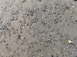 wet sand on the beach with a small stone