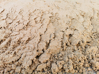 wet sand on the beach with a small stone