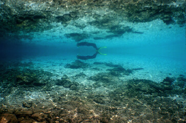 Naklejka na ściany i meble underwater snorkel scuba diver caribbean sea Venezuela
