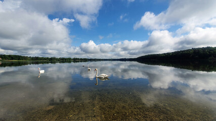 Obraz premium Clouds reflecting in the lake