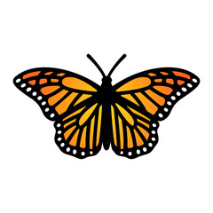 Monarch butterfly design. Symmetrical Monarch butterfly illustration. Vector.