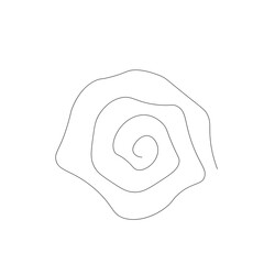 Rose flower one line drawing on white background, vector illustration