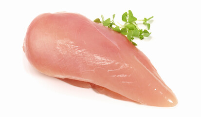 Raw Chicken Breast Isolated on white Background