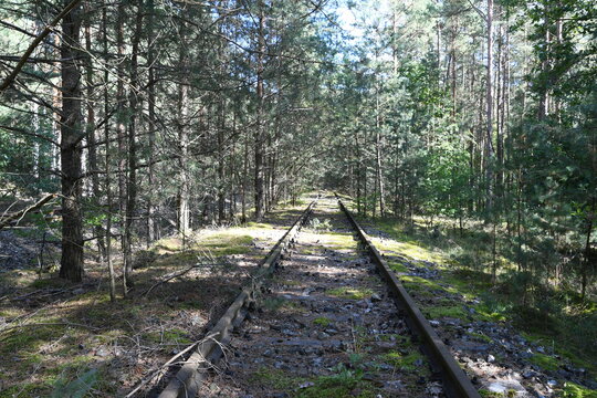 stillgelegte und zugewachsene Bahnstrecke im Wald
