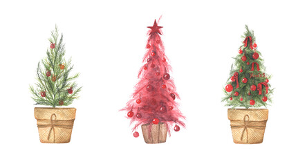 Watercolor illustration set of Christmas trees in pots.