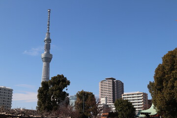 Naklejka premium Widok Sky Tree z Kamedo Tenjin