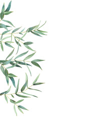Watercolor frame of eucalyptus leaves on a white background