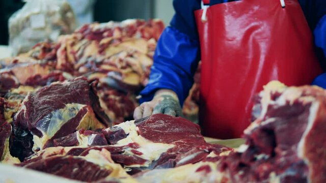 Raw Red Meat Is Getting Cut In The Factory Unit. Meat Processing Factory, Food Production Facility.