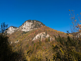 Scenic view of a mountain of steep rocky cliffs overgrown with forest in autumn during a sunny day