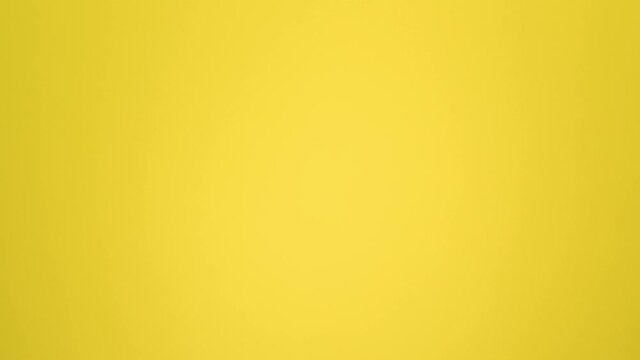 Autumn leaves on a yellow background - Stop Motion Animation - Copy space