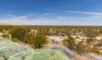 Fototapeta na wymiar Desert views from the Aerospace Highway, Chaffee, California