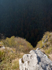 A cliff on a mountain with an evergreen forest in a shady valley