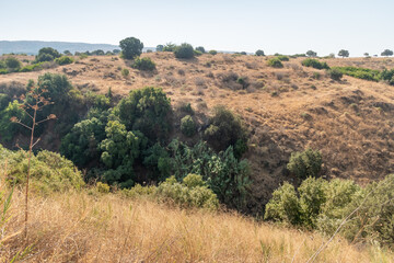 Nature near  the rapid mountain Hermon River in the Golan Heights in northern Israel