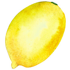 Watercolor image of lemon isolated on white background