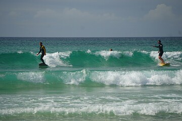 Male surfer