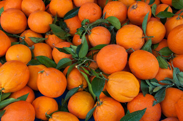 Endless oranges in a market