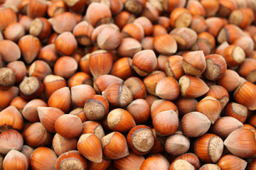 hazelnuts