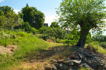 Scenic countryside road to beautiful vineyard of Istria, Croatia, on sunny day