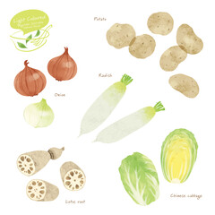 淡色野菜の手描きイラスト