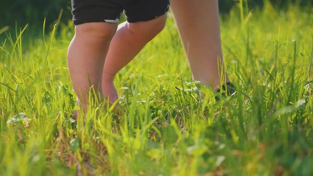 Happy family on a walk. Baby's bare feet. A small child learns to walk on the green grass. first step. Close-up of the legs. Happy childhood and motherhood.
