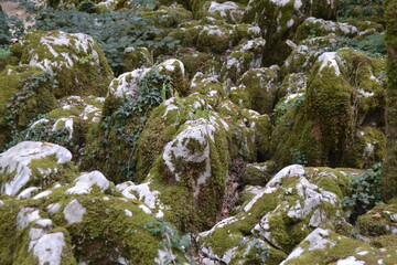 Sentier karstique, grottes calcaires et gouffres dans le Doubs, France