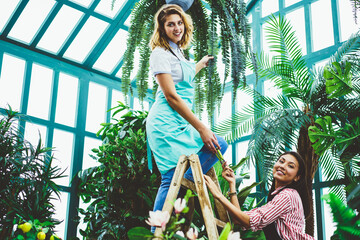 Florists caring for plants in workplace